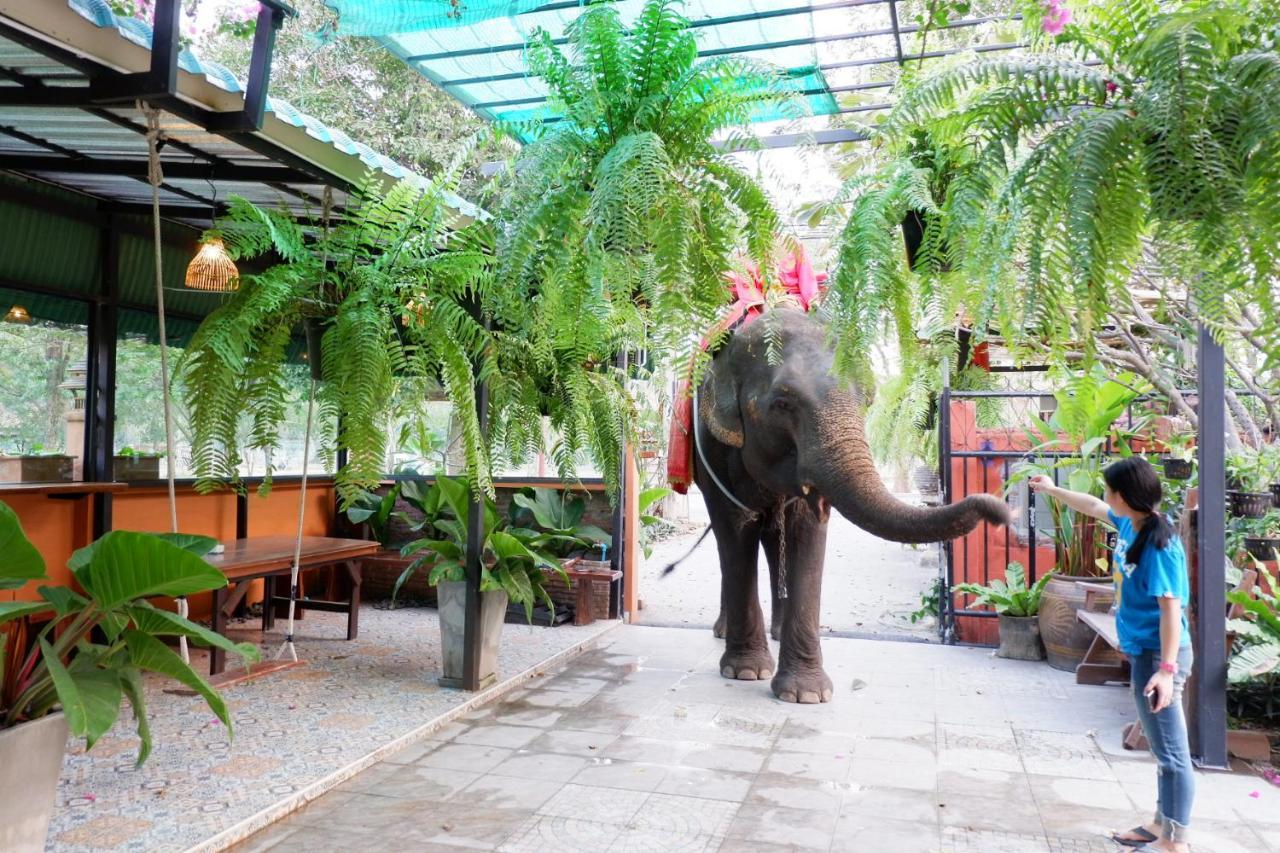 The Park Ayutthaya Resort And Spa Exteriér fotografie